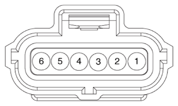 G13155760