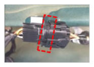 G13157772
