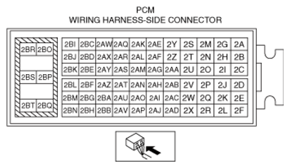 G13173661
