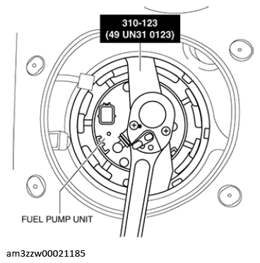 G13174973