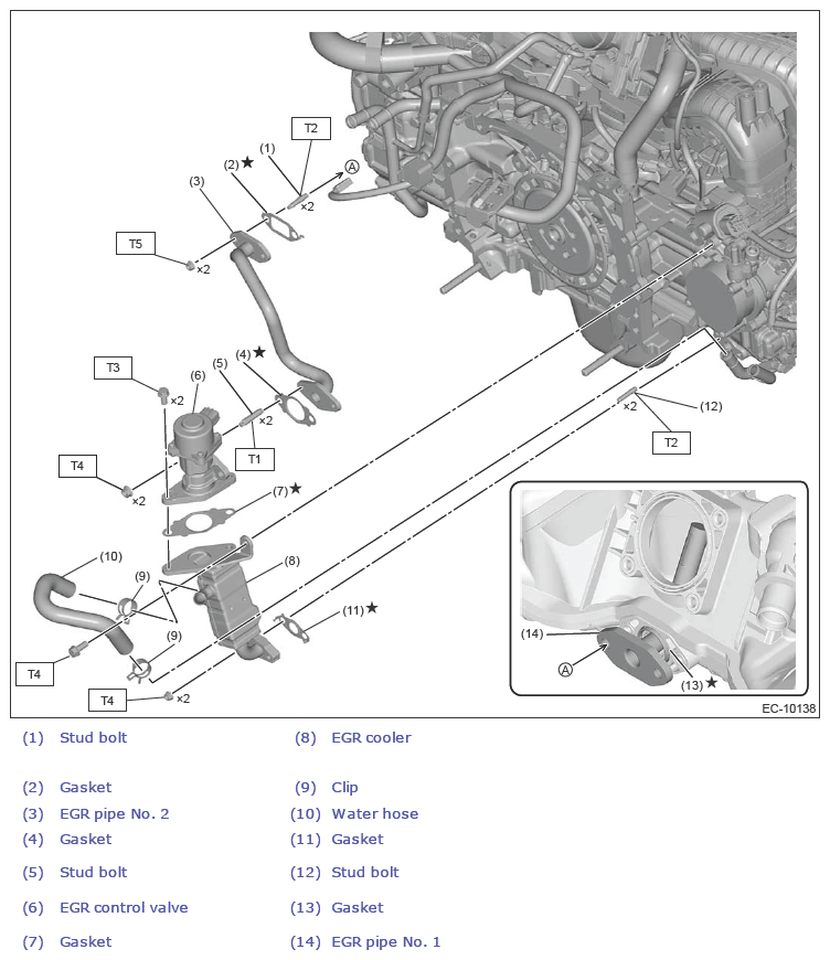 G13198463
