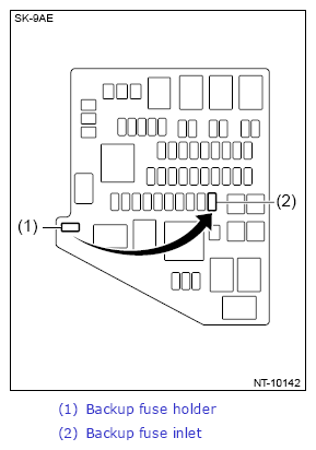 G13223699