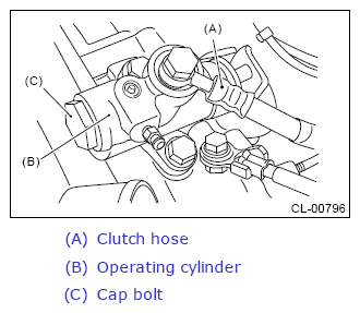 G13260694