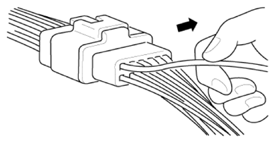 G13280795