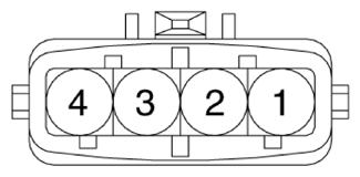 G13283754