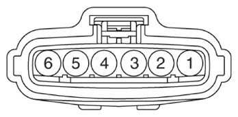 G13303787
