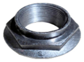 G13304291