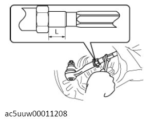 G13309263