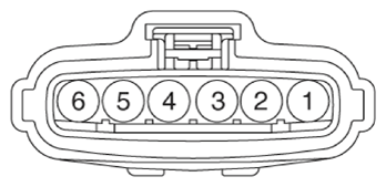 G13309994
