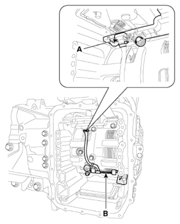 G13361965