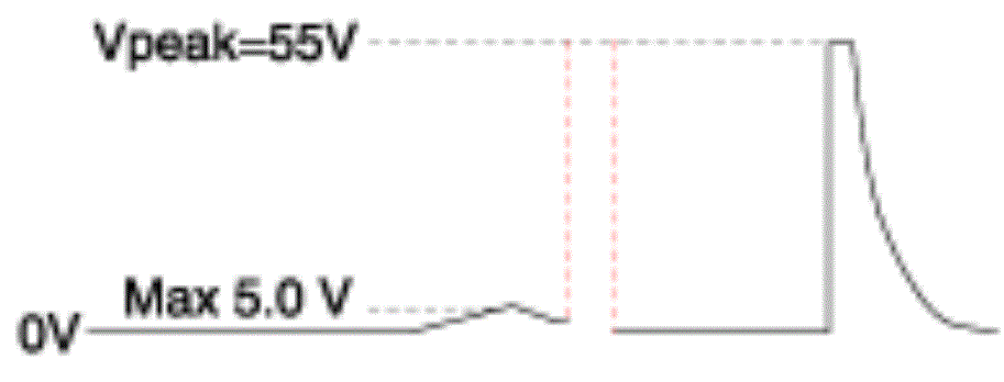 G13388034