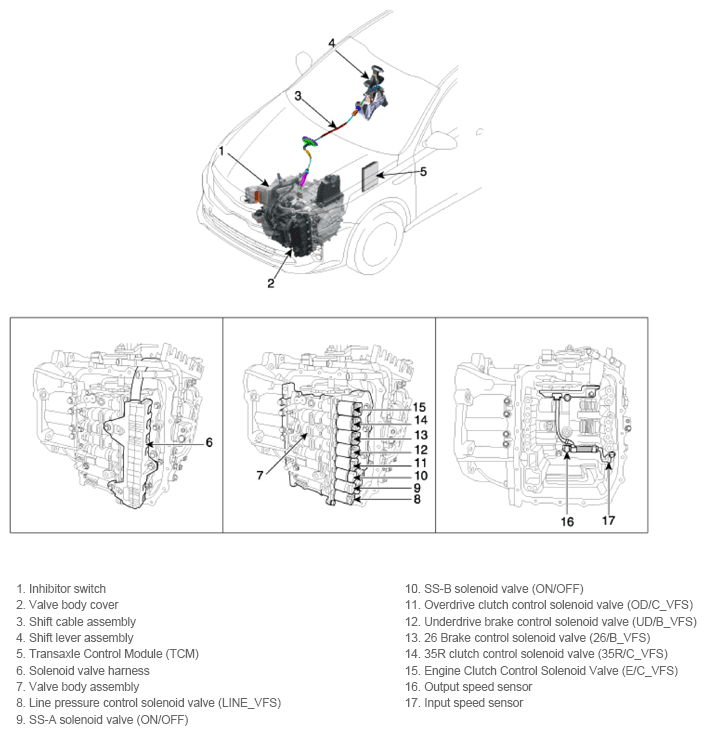 G13388258