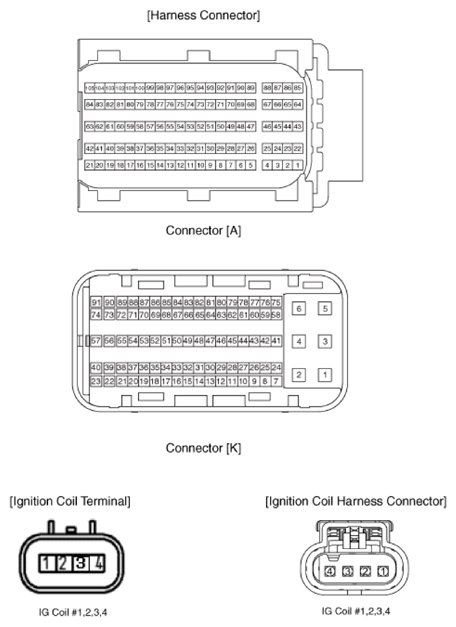 G13403194