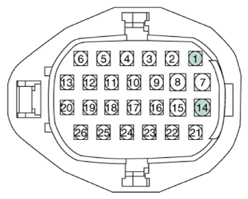 G13403772
