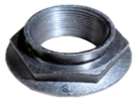 G13403953
