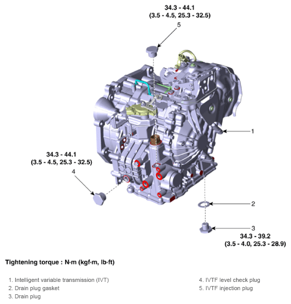 G13412557