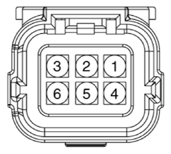 G13423569