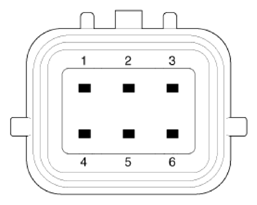 G13423663