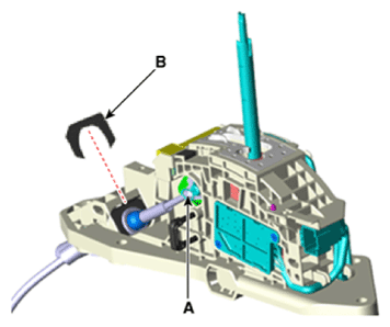 G13428459