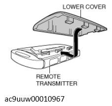 G13449379
