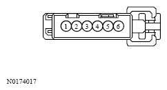 G13533524