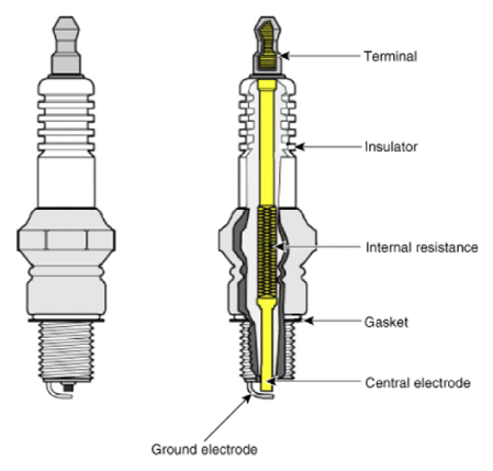 G13539185
