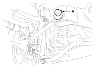 G13540608