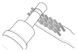 G13543374