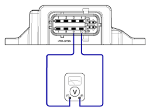 G13543524