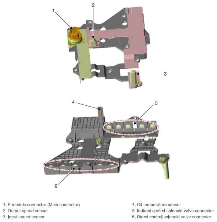 G13543889