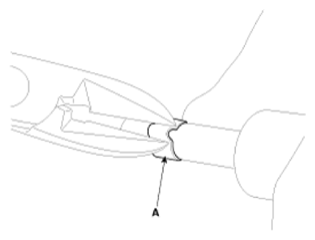 G13547593