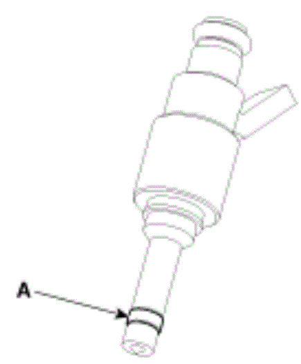 G13547598