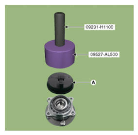 G13549095