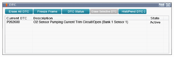 G13553616