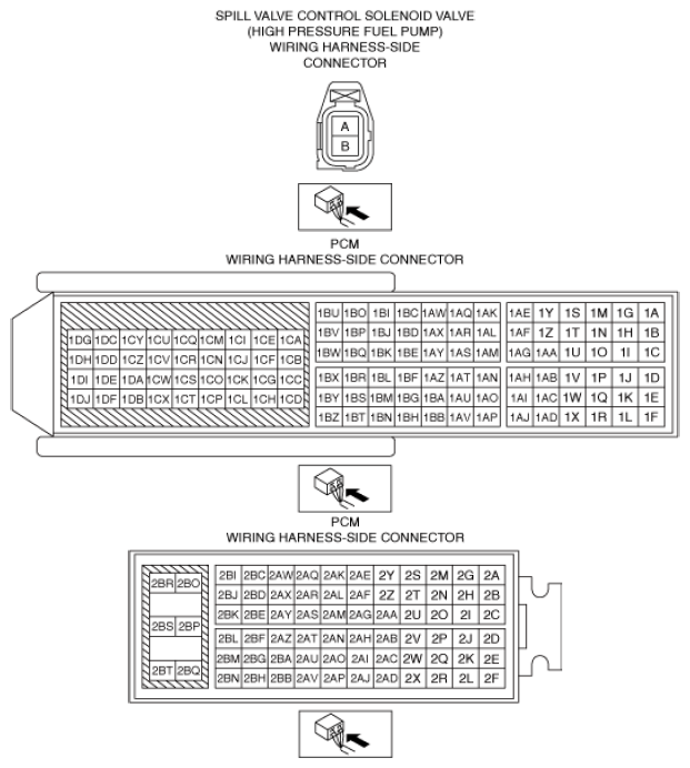 G13556310