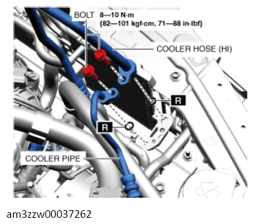 G13559142