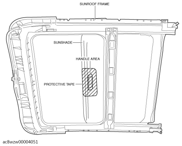 G13560492