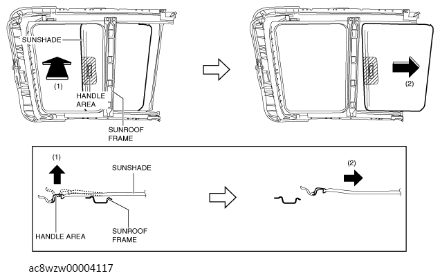 G13560493