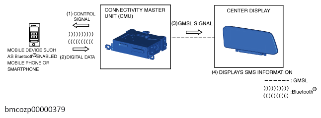 G13561500