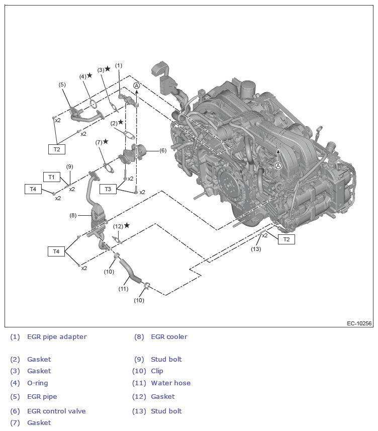 G13590458