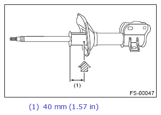 G13642519
