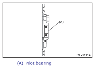 G13646980