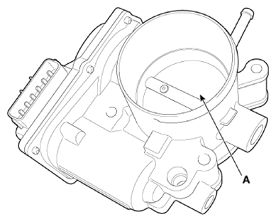 G13704645