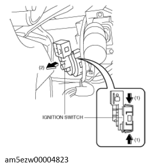 G13728668