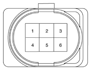 G13837519