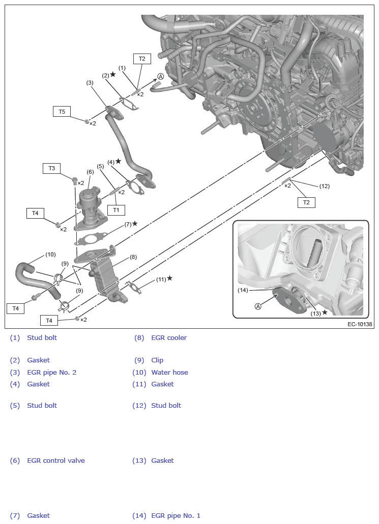 G13862219
