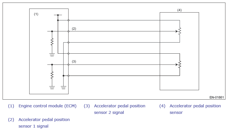 G13866456
