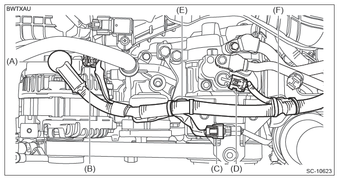 G13949478