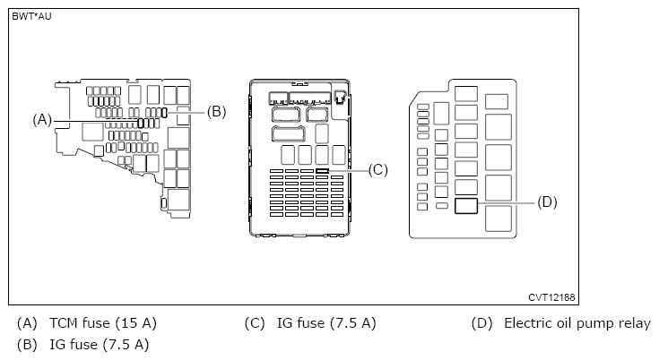 G13950462