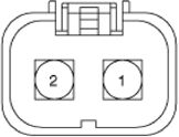 G14175675